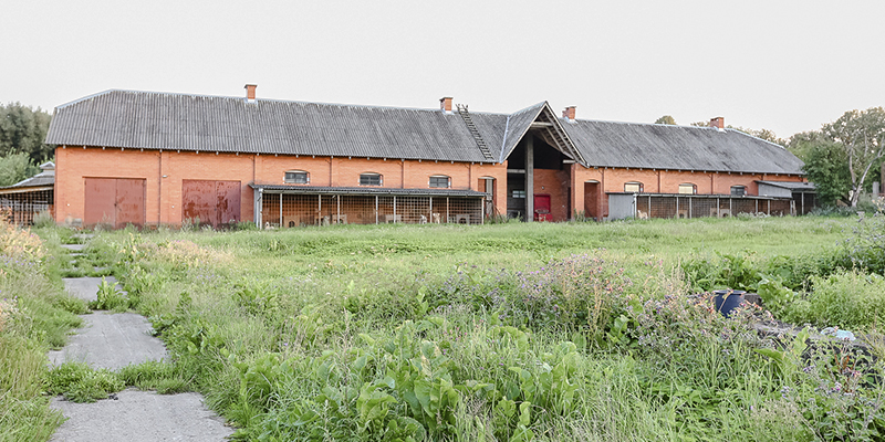 сельское хозяйство беларуси